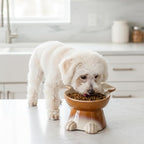 Nihow Elevated Ceramic Dog Bowls: 6.5 Inch Raised Dog Bowl for Food & Water | Food Safe Bowl for Medium/Small Size Dogs - Brown Puppy Bowls for Protecting Pet's Spine(1 PC)