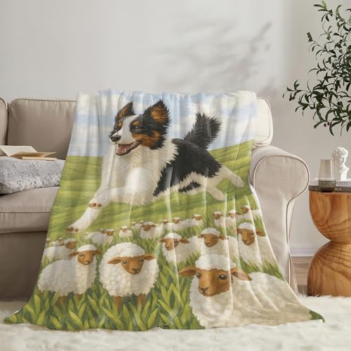 Border Collie Blanket for Girls Women Adults Kids Soft Cozy Fleece Collites Pet Print Throw Blankets Dog Lovers Gifts Warm Flannel Plush Lightweight Decor for Couch Bed Sofa 60"X50" - Image 4