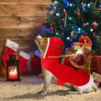 BWOGUE Santa Dog Costume, Dog Christmas Outfit, Santa Rider Costume, Size M - Image 4