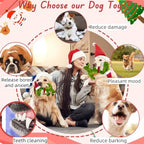 Christmas Plush Dog Squeaky Toys, Xmas Interactive Tough Chew Toys - Image 3