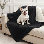 LOOBANI Waterproof Dog Blanket for Small Dogs, Pet Blanket 30" x 40", Black by LOOBANI