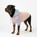 Spark Paws Dog Hoodie – Premium Dog Sweater for Small, Medium, and Large Dogs | Warm Outfits for French Bulldogs, Pitbull, Puppy, Winter Jacket Alternative - Cotton Candy - 4XL