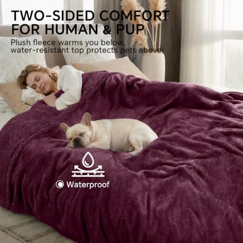 Luciphia Waterproof Blanket for Large Dog, Reversible Sherpa Couch Cover - Image 5