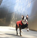Gooby Fashion Vest Dog Jacket - Orange, X-Small - Warm Zip Up Bomber Vest with Dual D Ring Leash - Winter Water Resistant Small Dog Sweater