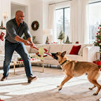 Christmas Dog Toys, Squeaky Reindeer Plush with Cotton Rope Legs for Dogs - Image 6