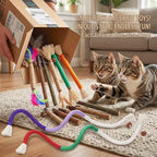 Cat Toys 12PCS Mix Catnip Chew Rope Silvervine Stick for Indoor Cat - Image 3