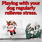 Dog Toys, Dog Xmas Christmas Santa Claus Squeaky Plush Chew Fetch Brain Stimulating Toy Presents for Small Medium Dogs (Medium, Christmas) - Image 5