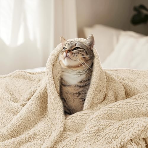 Luciphia Premium Fleece Pet Blanket for Small Medium Dogs Puppy Soft Sherpa Calming Cat Throw Blankets(Beige,41x31 inches) - Image 6