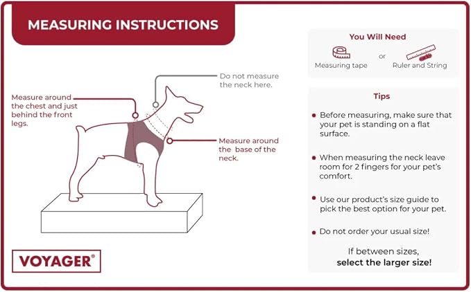 Best Pet Supplies Voyager Step-in Air All Weather Mesh Harness and Reflective Dog 5ft Leash Combo with Neoprene Handle, for Small, Medium and Large Breed Puppies - Lime Green, XX-Small