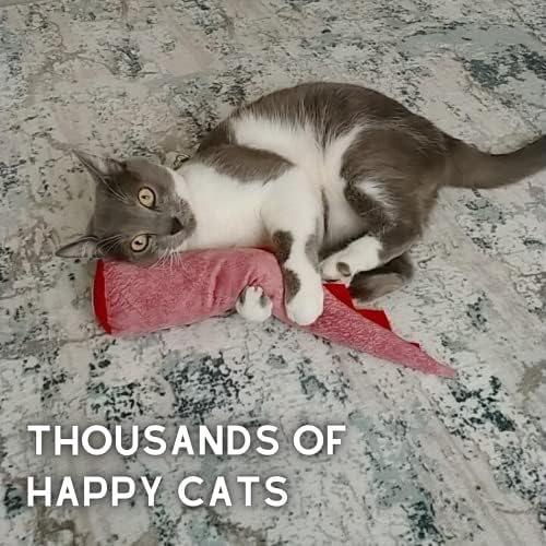 pawdaz Large Cat Toy Dino, Catnip Matatabi Silvervine Filled Help Relief Stress Interactive Indoor Cat Kicker with Bell and Smell(Pink) - Image 5
