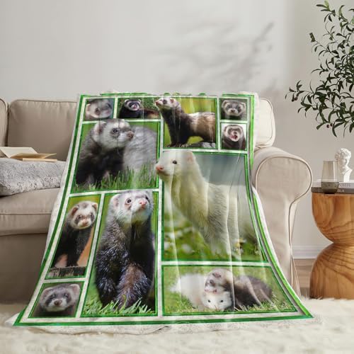 Ferret Blanket for Girls Women Boys Men Adults Kids Soft Cozy Fleece Cute Ferrets Throw Blankets Gifts Warm Flannel Plush Lightweight Decor for Couch Bed Sofa 50"X40" - Image 4