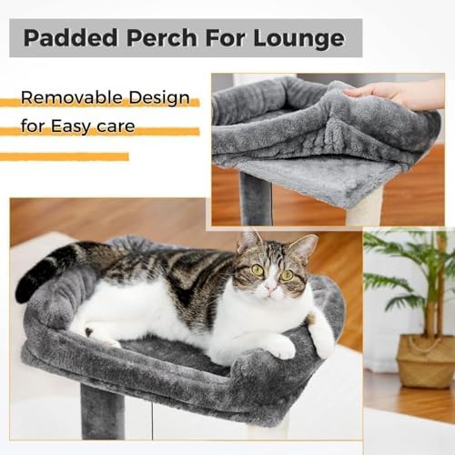 Cat Scratching Post, 19.69" H(50cm) Cat Tree with Cat Bed, Scratching Posts for Indoor Cats with Two Plush Balls Toy, Small Cat Tree for Kittens/Cats Playing and Relaxing (20 in Grey Cat Tree) - Image 5
