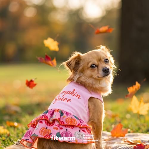 Fitwarm Pumpkin Spice Dog Dress, Thanksgiving Outfit for Small Dogs Girl, Festive Pet Clothes, Pink, Large - Image 4