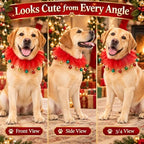Dog Collar,S - Image 5