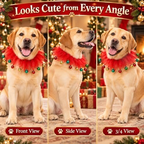 Dog Collar,S - Image 5