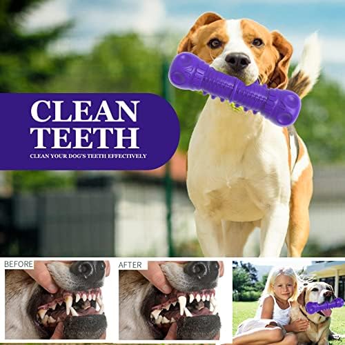 ZIKATON Dog Squeaky Toys for Aggressive Chewers, Durable Chew Toys for Large Medium Breed Dog, Dog Toys, Tough Durable Dogs Toys with Natural Rubber - Image 4