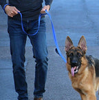 Max and Neo Triple Handle Traffic Dog Leash Reflective - We Donate to a Dog Rescue for Every One Sold (RED)