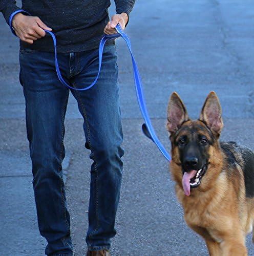 Max and Neo Triple Handle Traffic Dog Leash Reflective - We Donate to a Dog Rescue for Every One Sold (RED)