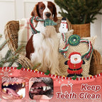 4 Pack Christmas Dog Toys, Christmas Squeaky Dog Toys Gifts for Large Medium Small Puppy,Dog Chew Toys,Christma Dogs Toys Gift - Image 4