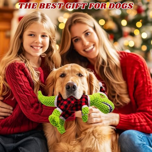 Christmas Dog Plush Toys- Squeaky Toy Dinosaur with Crinkle Paper- Interactive Funny Toys to Keep Your Dogs Engaged for Hours for Small and Medium Breeds - Image 6