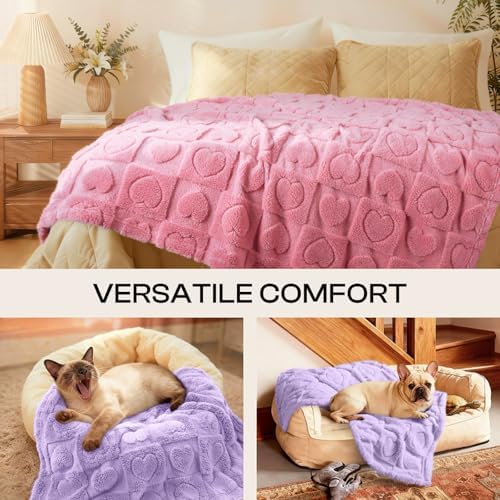 Luciphia 2 Pack Small Dog Blanket, Cozy Fleece Throw for Puppy Cat,30"x20" - Image 4