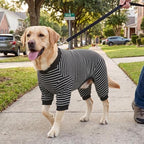 XPUDAC 4 Pack Dog Pajamas Striped Dog Clothes for Medium Large Dogs Girl Boy Comfy Puppy Outfit Doggy Jammies Onesie Pet Costume, 5XL - Image 5