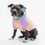 Spark Paws Dog Hoodie – Premium Dog Sweater for Small, Medium, and Large Dogs | Warm Outfits for French Bulldogs, Pitbull, Puppy, Winter Jacket Alternative - Cotton Candy - 3XL
