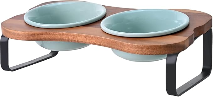 SPUNKYJUNKY Ceramic Elevated Tilted Dog Bowls Bone-Shaped Raised with 2 Height Iron Stand, 4.9'' Dog and Cat Food Water Bowls Set Non-Slip for Puppy Kitten Small Sized Breed - 7 OZ,Light Green