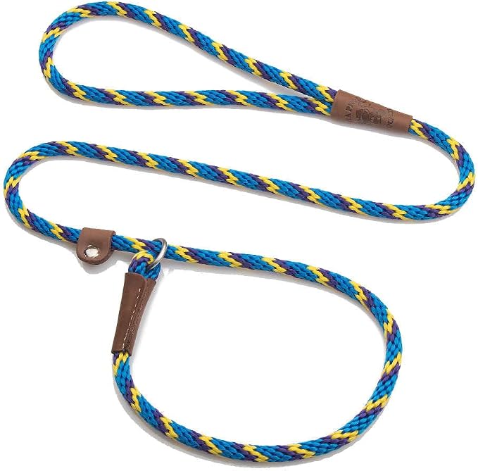 Mendota Pet Slip Leash - Dog Lead and Collar Combo - Made in The USA - Sunset, 3/8 in x 4 ft - for Small/Medium Breeds