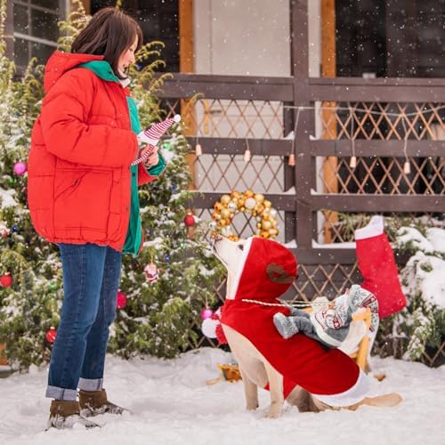 BWOGUE Santa Dog Costume, Dog Christmas Outfit, Santa Rider Costume, Size L - Image 4