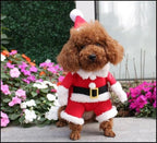 NACOCO Pet Christmas Costumes Dog Suit with Cap Santa Claus Suit Dog Hoodies Cat Xmas Costumes (Red, XL) - Image 2