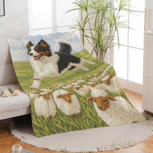 Border Collie Blanket for Girls Women Adults Kids Soft Cozy Fleece Collites Pet Print Throw Blankets Dog Lovers Gifts Warm Flannel Plush Lightweight Decor for Couch Bed Sofa 60"X50" - Image 3