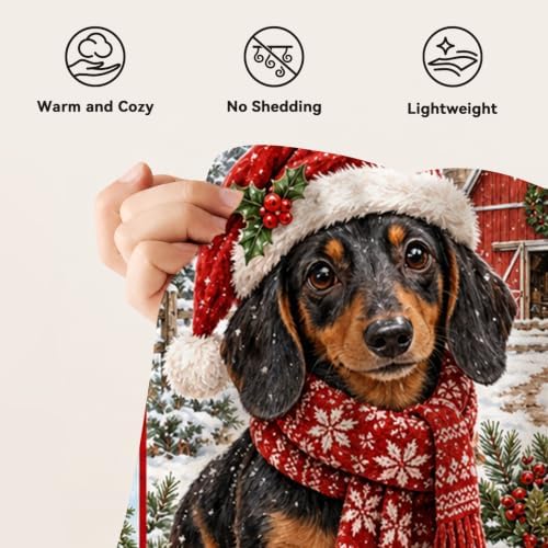 Dachshund Christmas Throw Blanket Cute Dog Holiday Gifts 50''x60'' - Image 7