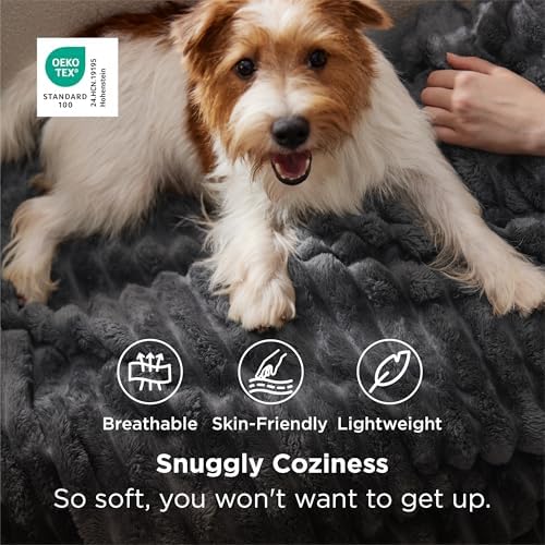 Bedsure Soft Twin Blanket for Bed Decor Gifts Grey 60"x80" - Image 3