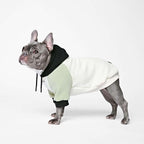 Spark Paws Dog Hoodie – Premium Dog Sweater for Small, Medium, and Large Dogs | Warm Outfits for French Bulldogs, Pitbull, Puppy, Winter Jacket Alternative - Olive Cream - XL