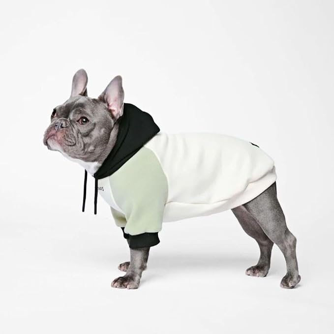 Spark Paws Dog Hoodie – Premium Dog Sweater for Small, Medium, and Large Dogs | Warm Outfits for French Bulldogs, Pitbull, Puppy, Winter Jacket Alternative - Olive Cream - XL