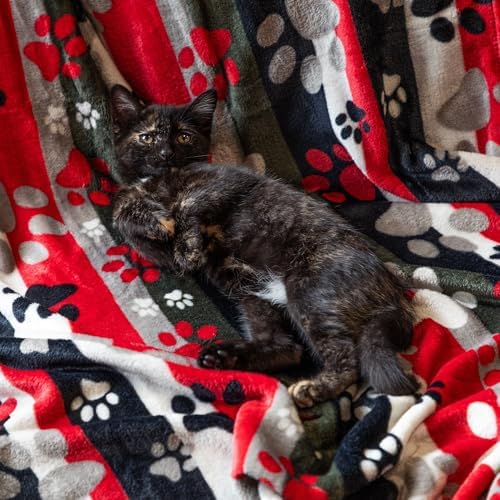 Pet Dog Cat Blanket Ultra Soft Cozy Fleece Paw Print Design Machine Washable Durable for Crates Beds Sofas Travel (Rainbow Paws, Medium) - Image 6