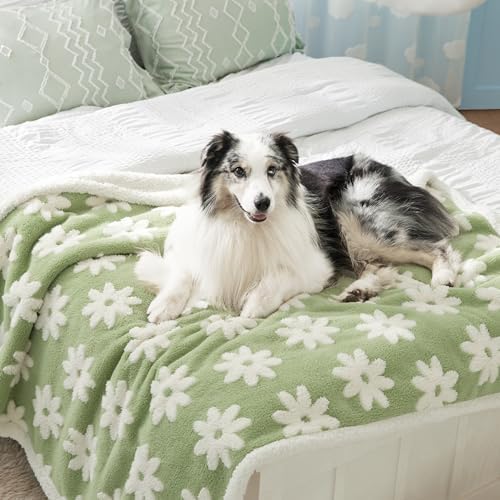 LE SURE Waterproof Dog Blankets for Large Dogs Cute Cozy 3D Jacquard,50x60 - Image 2