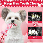 Valentine's Day Dog Toys, 2 Pack Plush Squeaky Dog Toys with Cotton Rope, Valentine's Day Dog Gifts for Small and Medium Dogs - Image 5