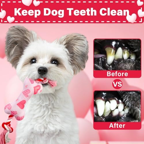 Valentine's Day Dog Toys, 2 Pack Plush Squeaky Dog Toys with Cotton Rope, Valentine's Day Dog Gifts for Small and Medium Dogs - Image 5