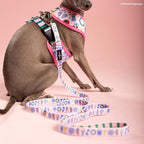 Lucy & Co. Dolce Vita Dog Leash, Durable Matching Dog Lead with Heavy Duty Hardware, Large