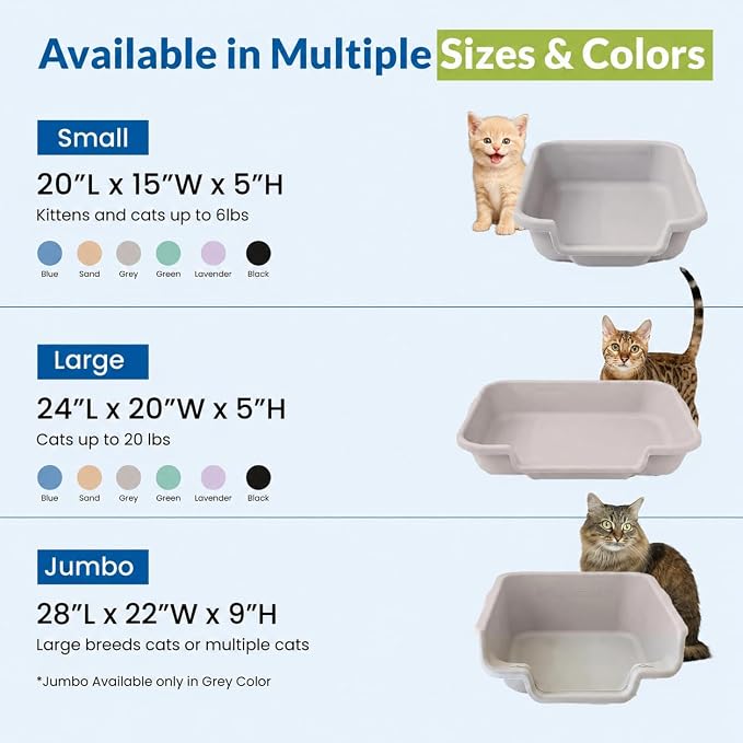 KittyGohere Senior Cat Litter Box Small with Scoop, Misty Gray | Open Top Low Entrance Kitty Litter Box With With Long-handle Jumbo Scoop, Lightweight & Durable Litters Box, Made in USA