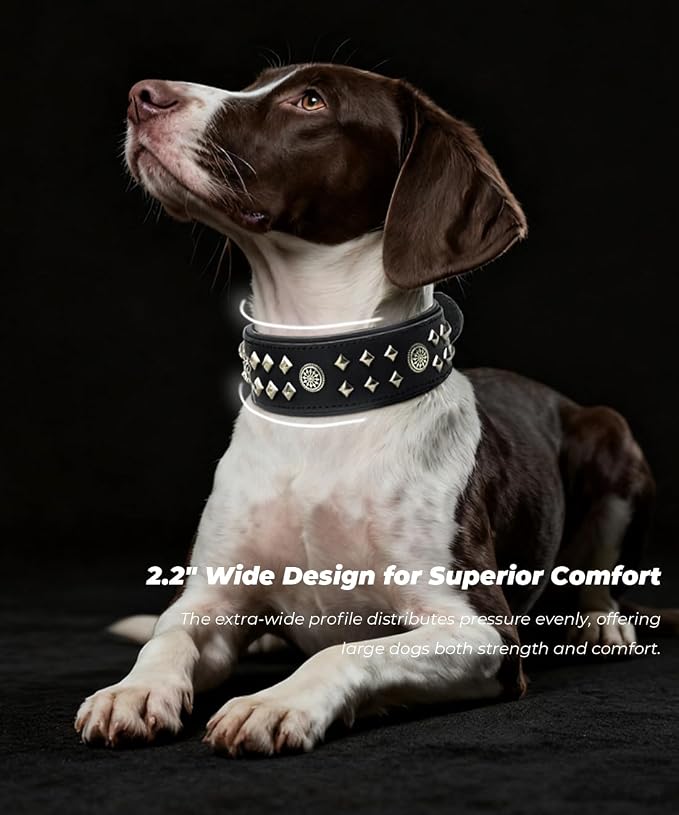 Genuine Leather Dog Collar 2.2 in Wide for Large Dogs Heavy Duty, BK-SL-S | Handcrafted,Stainless Steel Buckle and Alloy Studded,Soft Padded,Fashionable Daily Wear for Large Giant Breed,16.5-20.5 in