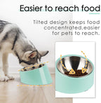 SuperDesign Mess Free 15° Slanted Bowl for Dogs and Cats, Tilted Angle Bulldog Bowl Dog Feeder, Non-Skid & Non-Spill, Easier to Reach Food S/0.5 Cup Teal