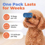 Best Pet Supplies Poop Bags for Dogs - Royal Blue, 240 Count | Scented, Leak-proof, Easy-Tear perforations, 15 Thick Bags per roll, Outdoor Walking & Travel, Fits Standard Holders