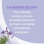 Citrus Magic Solid Air Fresheners, Lavender Escape, 8 Ounce, Pack of 3 | Odor Absorbing, Passive Diffusion, Odor Elimination Up to 4 Weeks Each, Ideal for Home