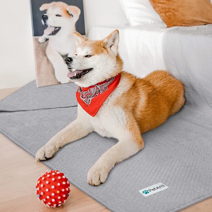 PetAmi Waterproof Dog Blanket, Leakproof Puppy Blanket, 40x60 Light Gray | For Medium Large Pets, Furniture Sofa Couch Cover Protector, Fleece Throw Indoor Cat Kitten, Reversible Washable Soft Plush