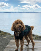 Gooby Fashion Vest Check Dog Jacket - Green Check, Large - Warm Zip Up Bomber Vest with Dual D Ring Leash - Winter Water Resistant Small Dog Sweater