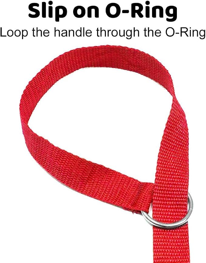 Downtown Pet Supply Slip Lead Dog Leash 12 Pack, 4' x 1/2" - Universal Dog Leash with Metal O Ring - Machine Washable for Groomers, Shelters, Rescues, Vets, or Doggy Daycares