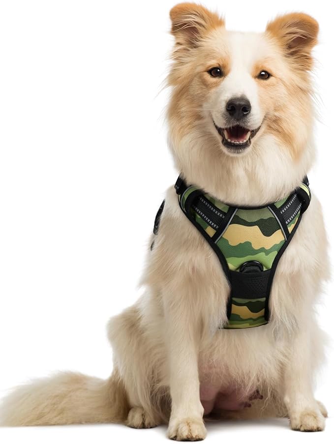rabbitgoo Dog Harness, No Pull Medium Sized with 2 Leash Clips, Pet Vest | No Choke with Handle, Adjustable Soft Padded, Reflective, Easy Control for Walking, Green Mountain, Medium